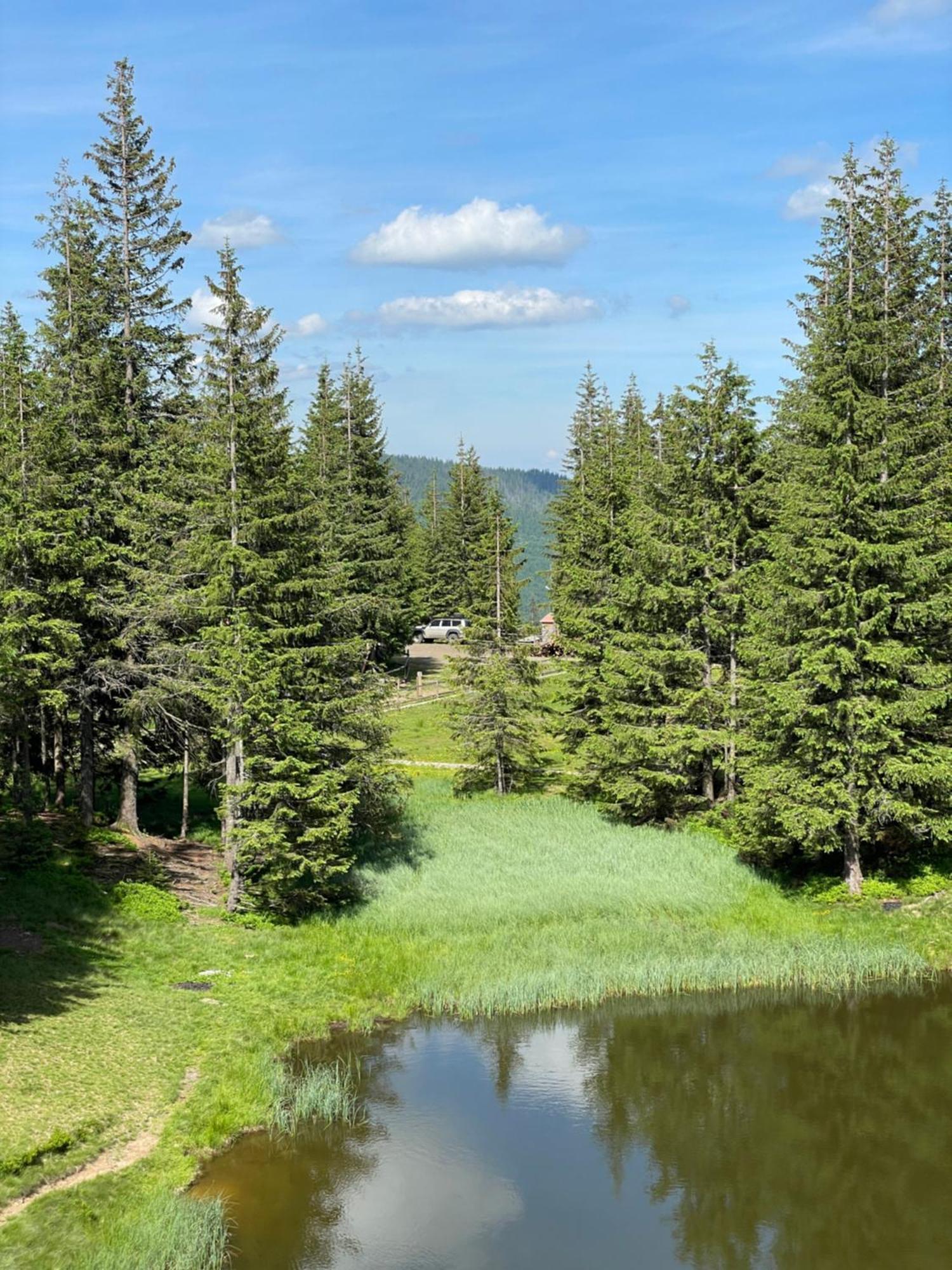 Оаза Hotel Dragobrat Buitenkant foto