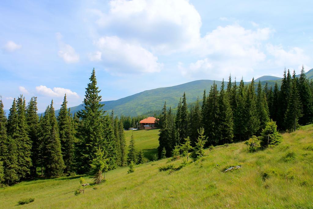 Оаза Hotel Dragobrat Buitenkant foto