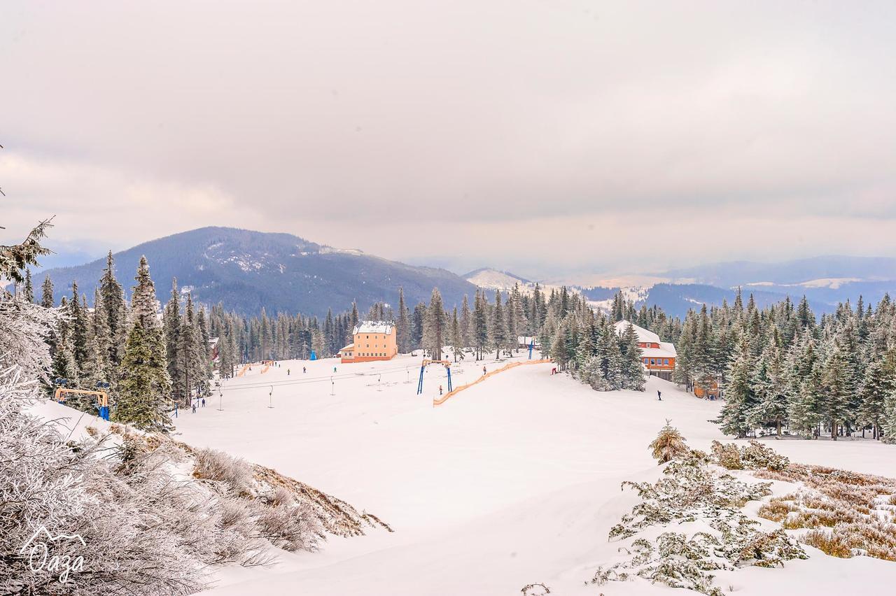 Оаза Hotel Dragobrat Buitenkant foto